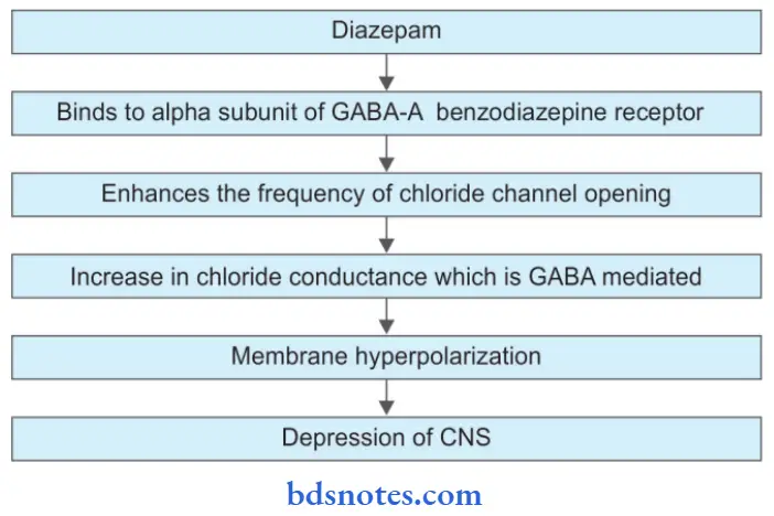 Sedative And Hypnotics Diazepam Action