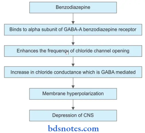 Sedative And Hypnotics Mechanism Action Of Benzodiazepine