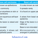 Skin Tumors Write diffrence between squamous cell carcinoma and