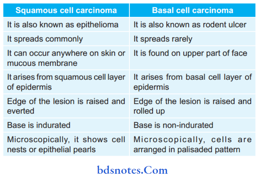 Skin Tumors Write diffrence between squamous cell carcinoma and