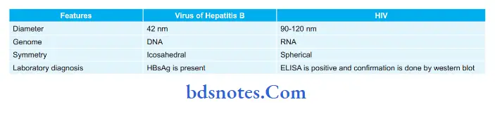 Specific Infections Enumerate diffrences between virus of Hepatitis B and HIV