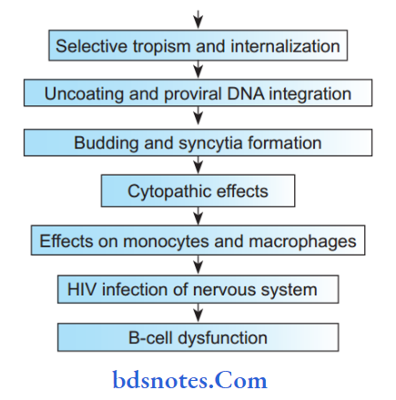 Specific Infections Pathology
