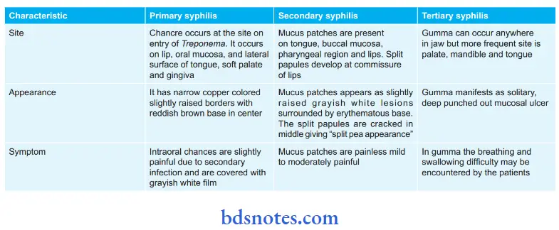 Spirochetes Syphilis stages