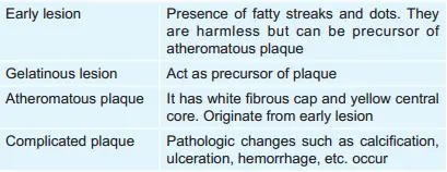 Stages In Atherosclerosis