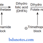 Sulphonamides Cotrimoxazole And Quinolones Cotrimoxazole Mechanism Of Action
