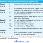 The Lymphoid System Staging Of Hodgkin's Disease