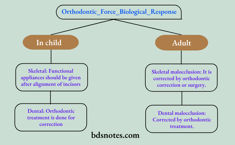 Treatment of Class II Division 2