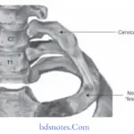 Upper Limb Ischemia Types of cervical rib