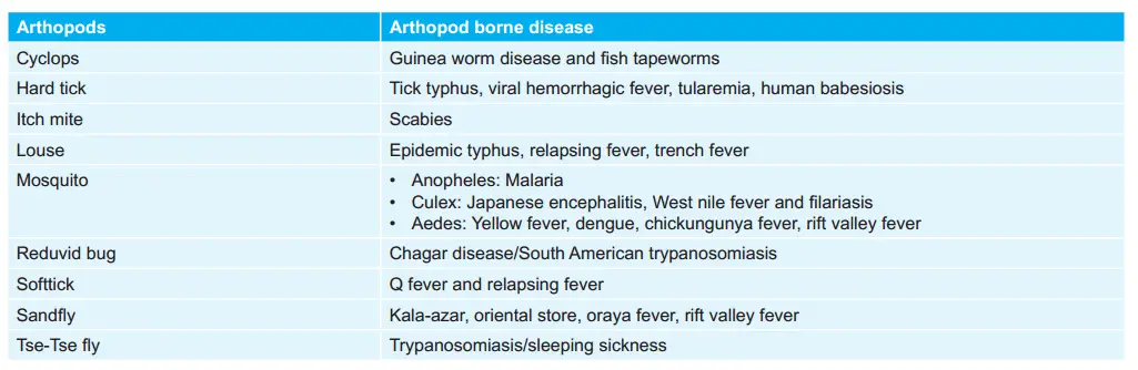 Various Arthopods and Diseases Caused by them