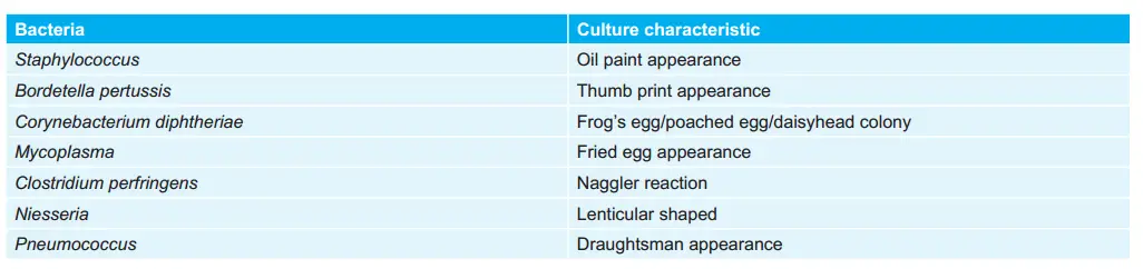 Various Bacteria and their Cultural Characteristic