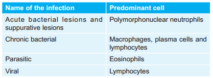 Various Infections And Their Predominant Cells