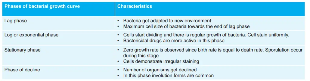 Various Phase of Bacterial Growth Curve