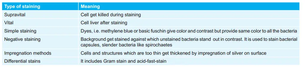 Various Types Of Staining