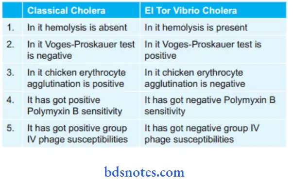 Vibrio Difference between classical and EiT or vibro cholera