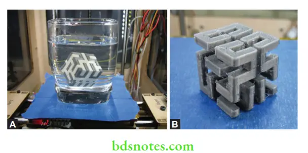Additive Manufacturing In Dentistry Dissolution of support material (white) by immersing in water, Same object after removal of support material.