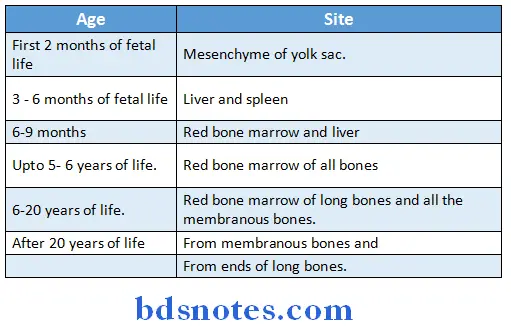 Blood erythropoesis and where does it occurs
