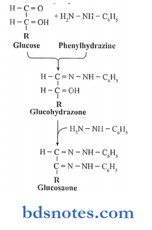 Carbohydrate A summary of osazone formation