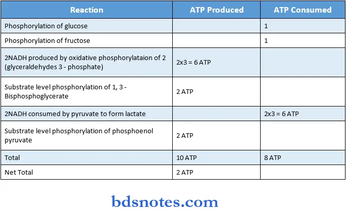 Carbohydrate ATP produced