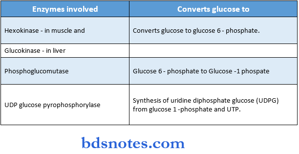 Carbohydrate UDP Glucose