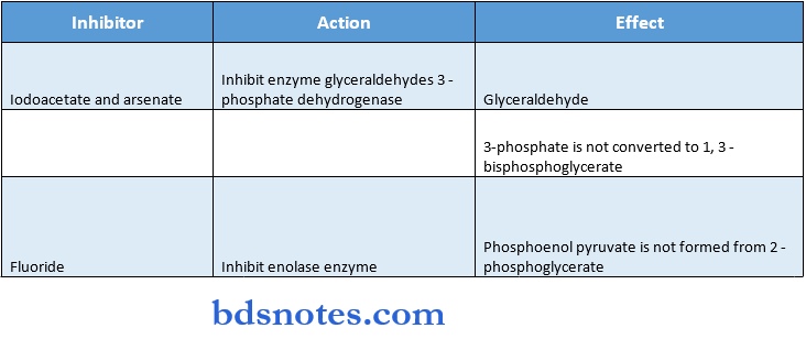 Carbohydrate glycolytic pathway