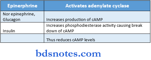 Carbohydrate hormones regulating cAMP