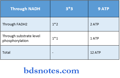 Carbohydrate through NADH