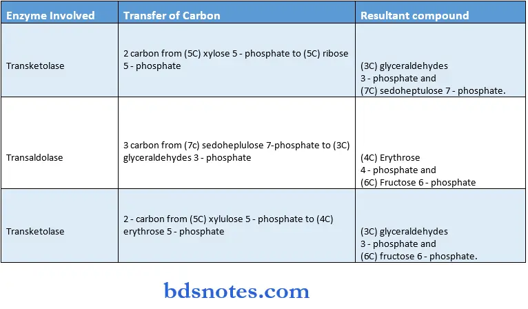 Carbohydrate transfer of carbon