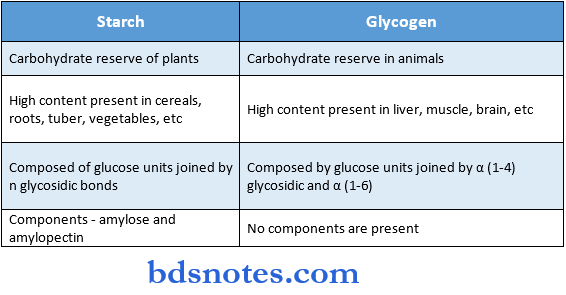 Carbohydrates strach and glycogen