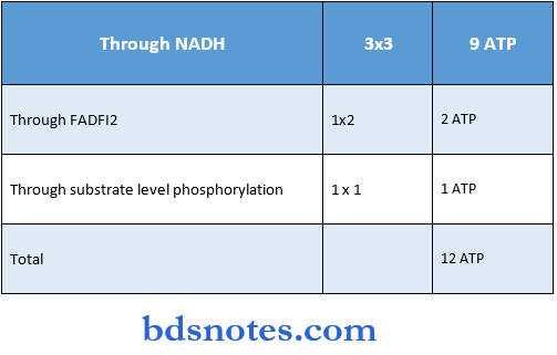 Carbohydrates through NADH