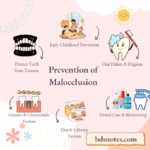 Child Orthodontic Checkup Dentist