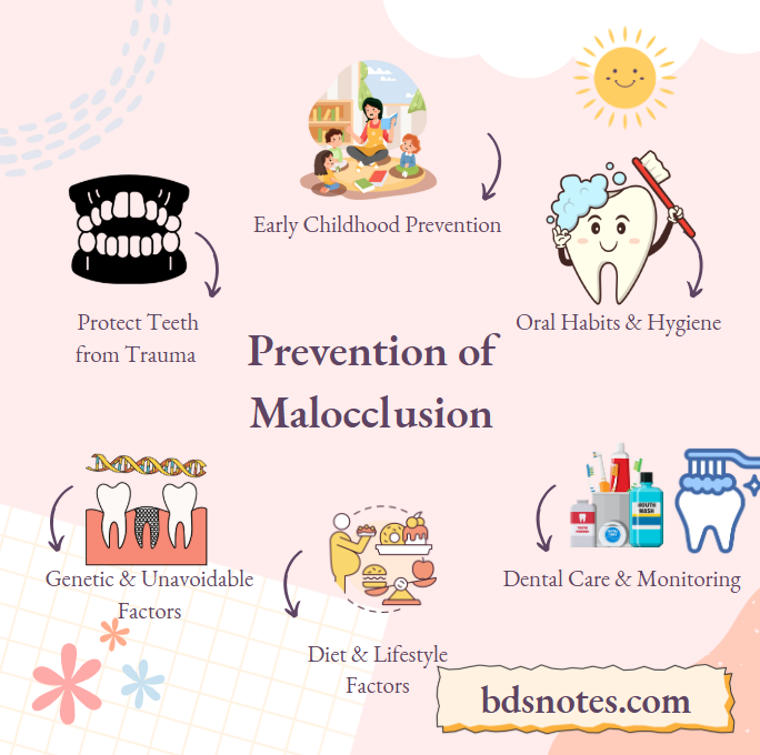 Child Orthodontic Checkup Dentist