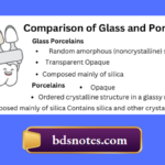 Comparison of Glass and Porcelain