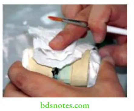 Dental Ceramics Blotting to remove excess water.