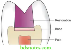 Introduction To Restorations Luting And Pulp Therapy Notes - BDS Notes