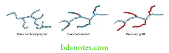 Denture Resins And Polymers Structure of branched polymers.