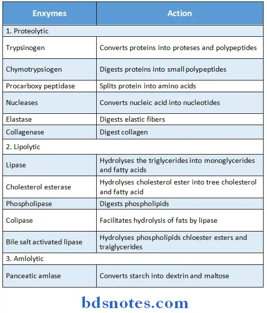 Digestive System exocrine function of pancereas