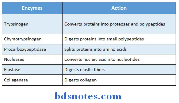 Digestive System proteolytic enzymes of pancreas