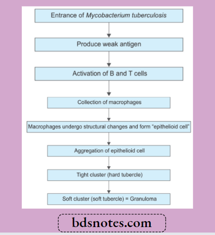Inflammation Pathogenecity