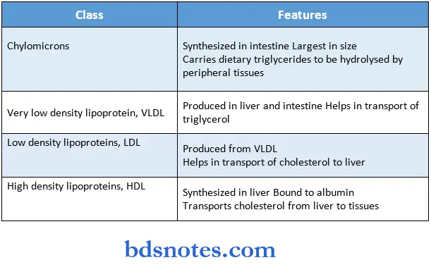 Lipids class and features