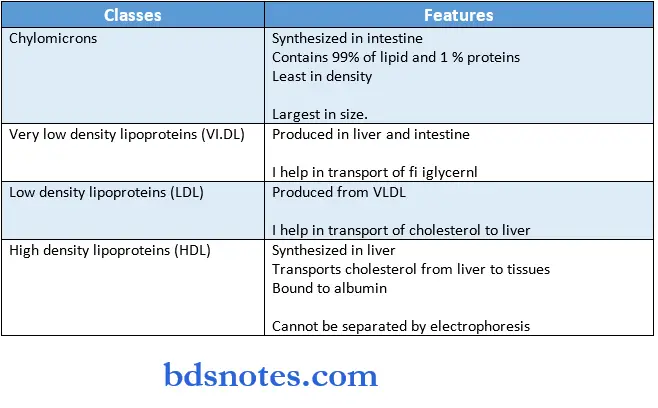 Lipids classes and features