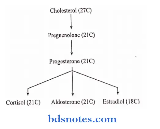 Lipids outline of steriod hormone