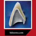 Metal ceramic system