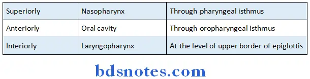 Mouth And Pharynx oropharynx communications