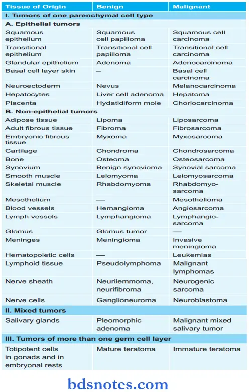 Neoplasm Classification Of Tumors