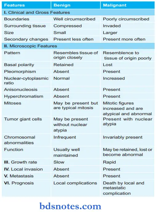 Neoplasm Difference Between Benign And Malignant Tumor