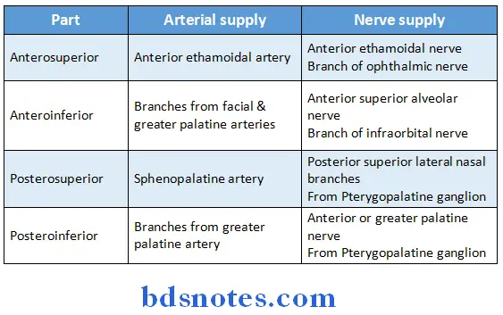 Nose And Paranasal Sinuses blood supply and nerve supply