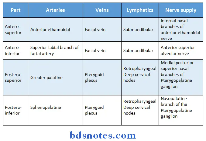 Nose And Paranasal Sinuses blood supply nerve supply and lymphatic drainage
