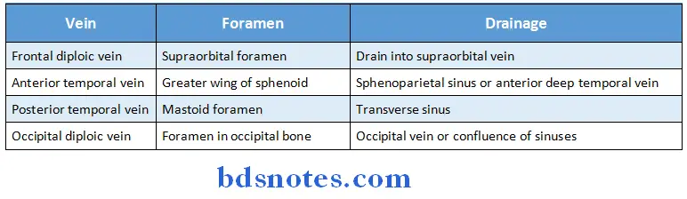Osteology diploic veins