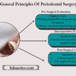 Periodontal Surgery Principles Algorithm