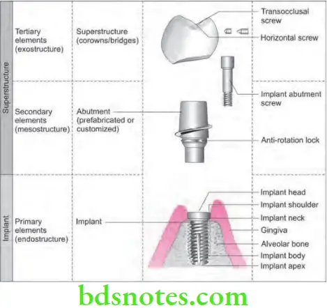 Periodontics Dental Implants Structures of implant system